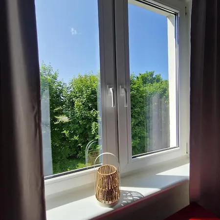 Lady Eleven * Danzig