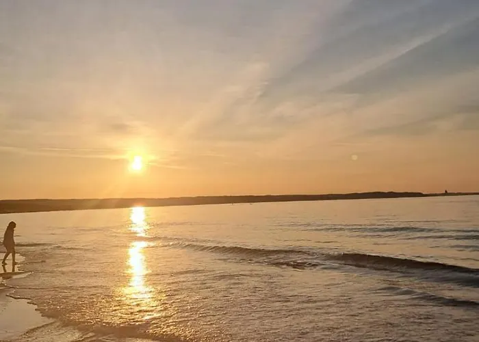 Lady Eleven * 格但斯克